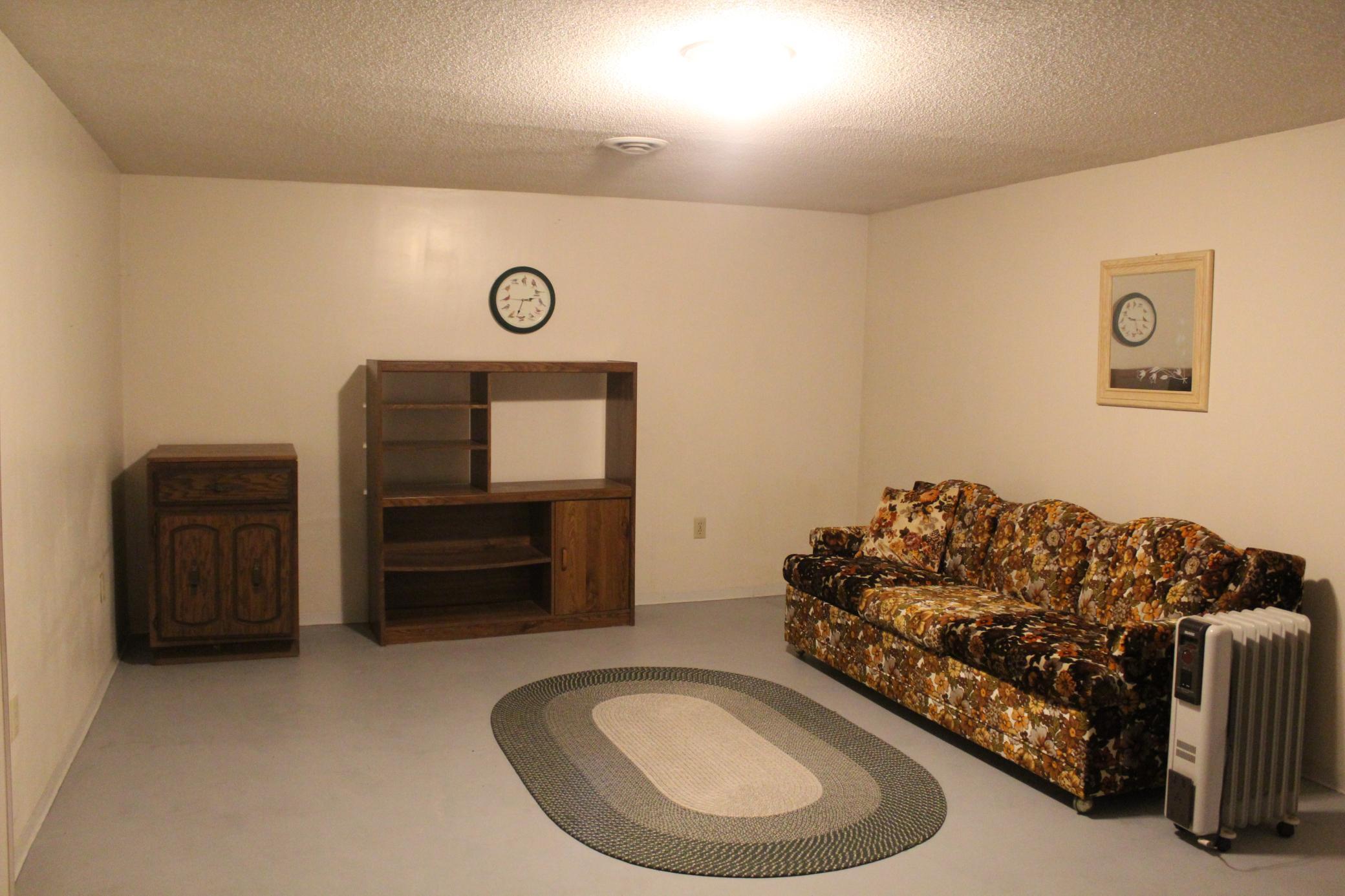 Lower level family room