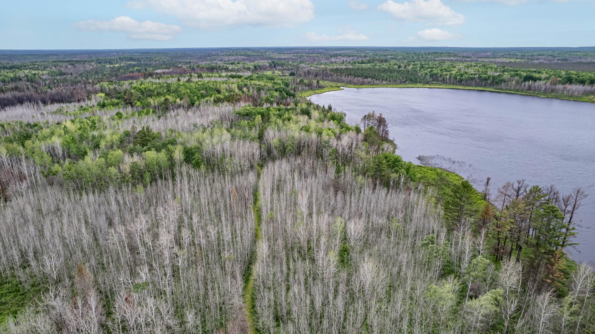 DJI_0079-Edit.jpg