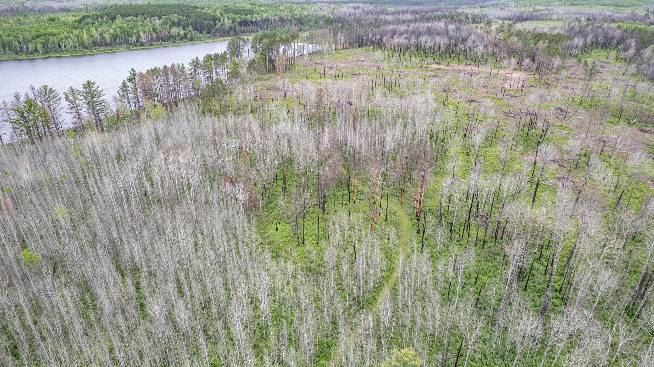 DJI_0075.jpg