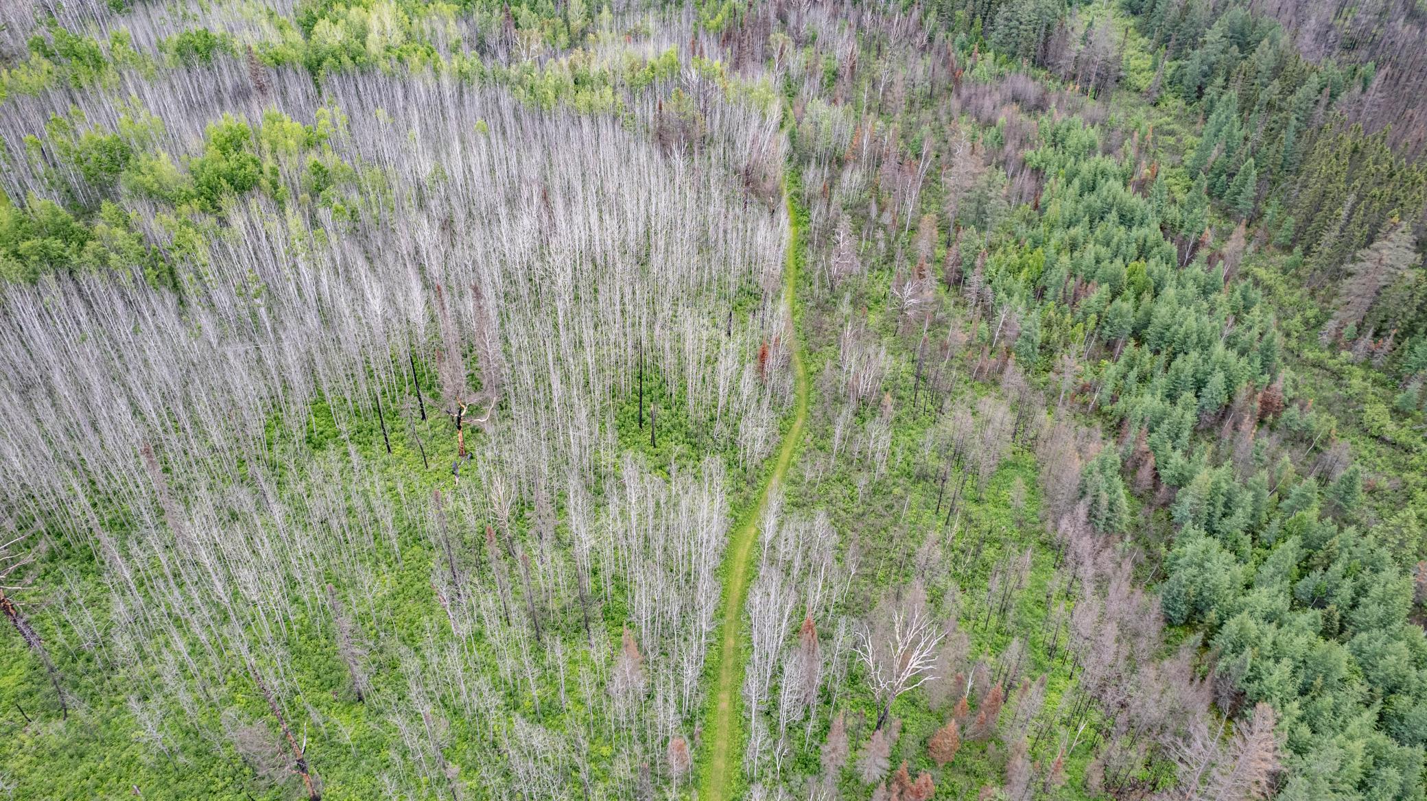 DJI_0072.jpg
