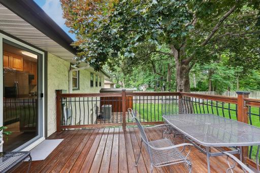 8727 Baltimore Street NE, Minneapolis, MN 55449
