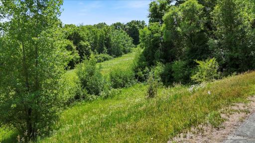 1325 Birch Park Road, Houlton, WI 54082