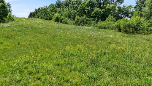 1325 Birch Park Road, Houlton, WI 54082