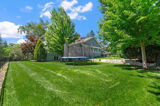 A better view of the spacious, open, fenced-in green space.