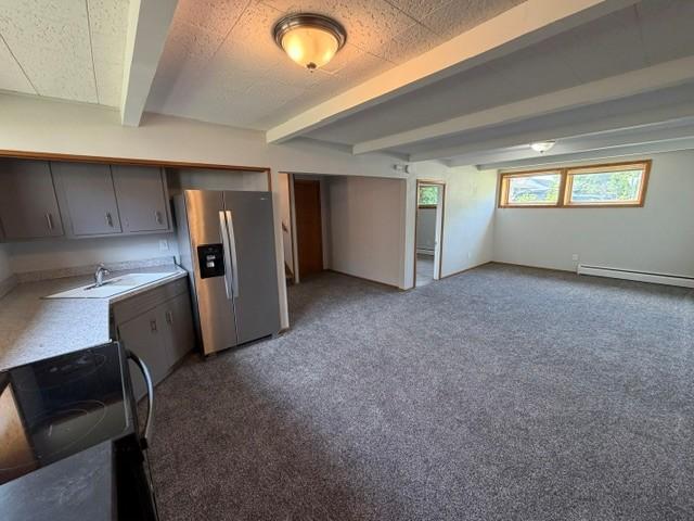 Lower Level Living