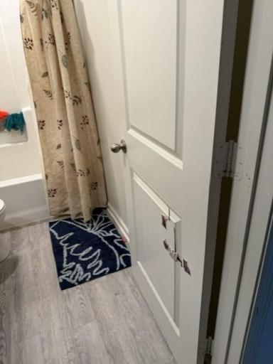 bfb1fb9f-6fd0-4deb-a67a-31e0b5ce7057.jpeg