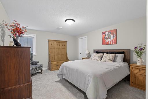 Lower-level bedroom with walk-in closet and convenient access to the full bath.