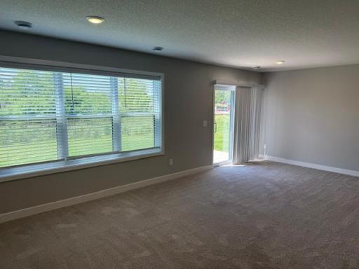 Chaska, MN 55318