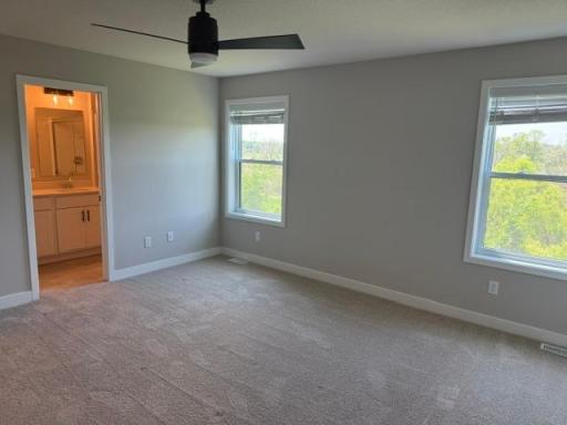 Chaska, MN 55318