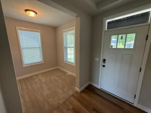 Chaska, MN 55318