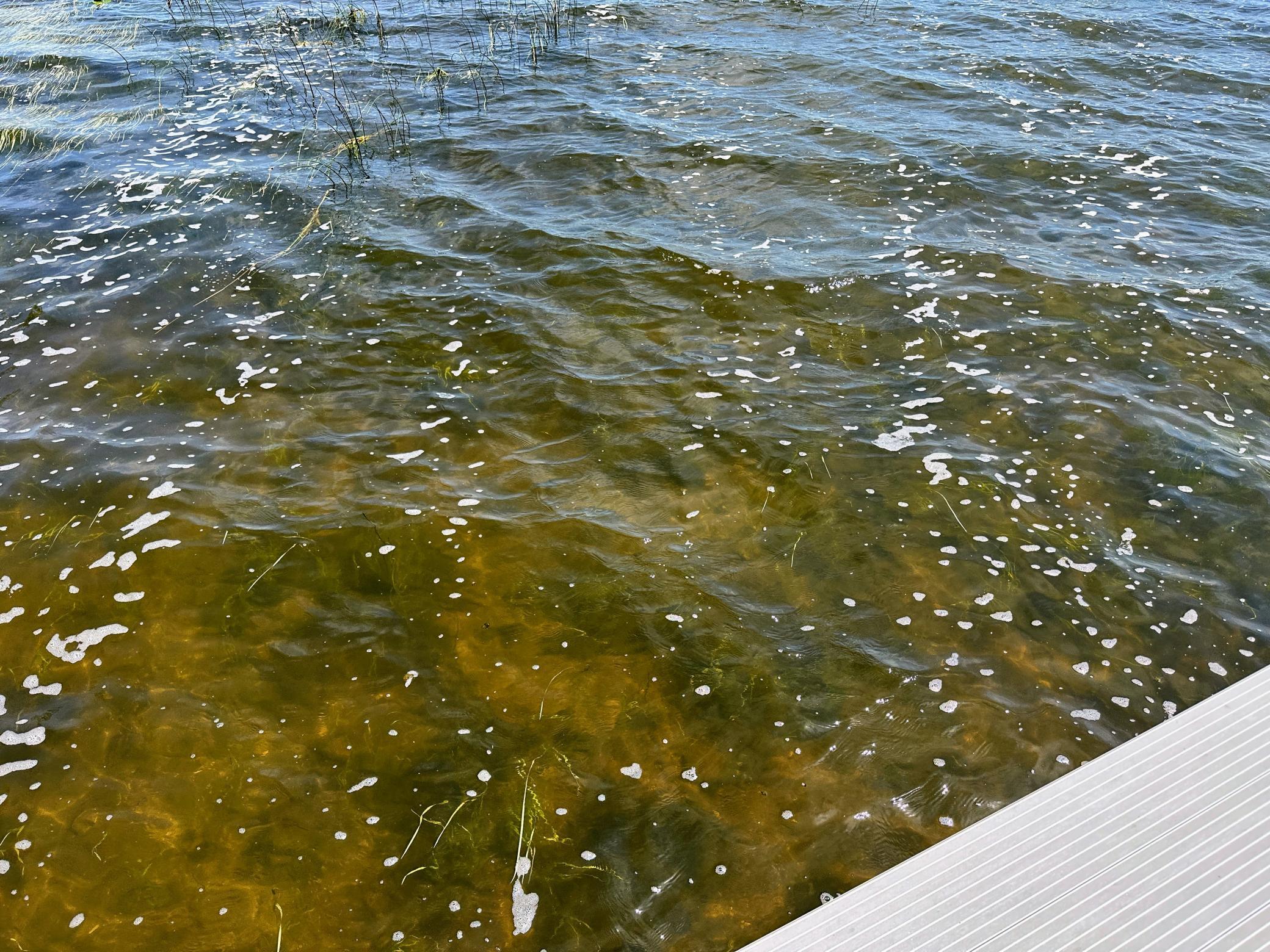 Lake Bottom
