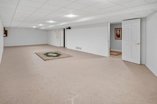 1146 Pleasure Drive W, Litchfield, MN 55355