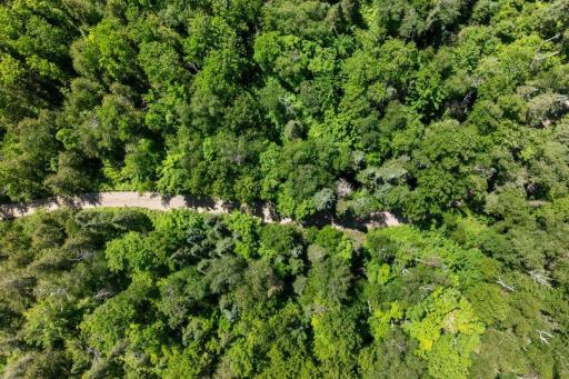 6908 Rogers Point Road NW, Walker, MN 56484