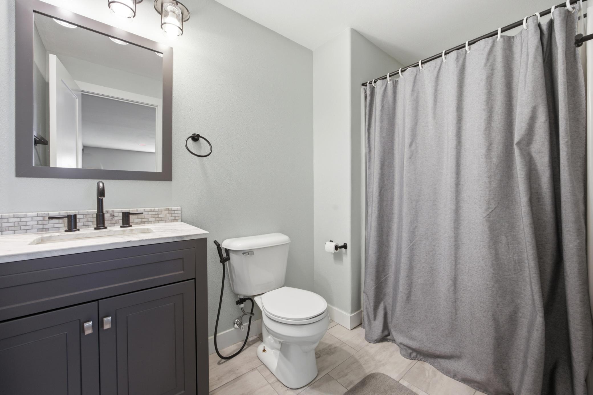 Basement Bathroom (Heated Floors)