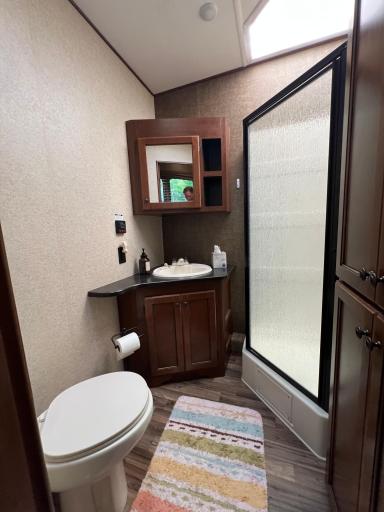Skylight in Bathroom