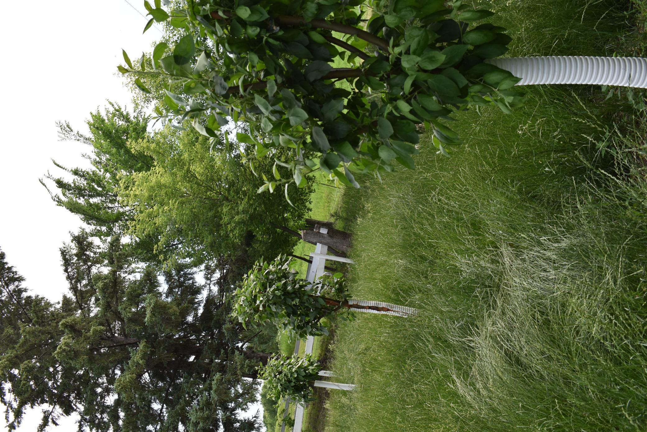 DSC_0048.JPG