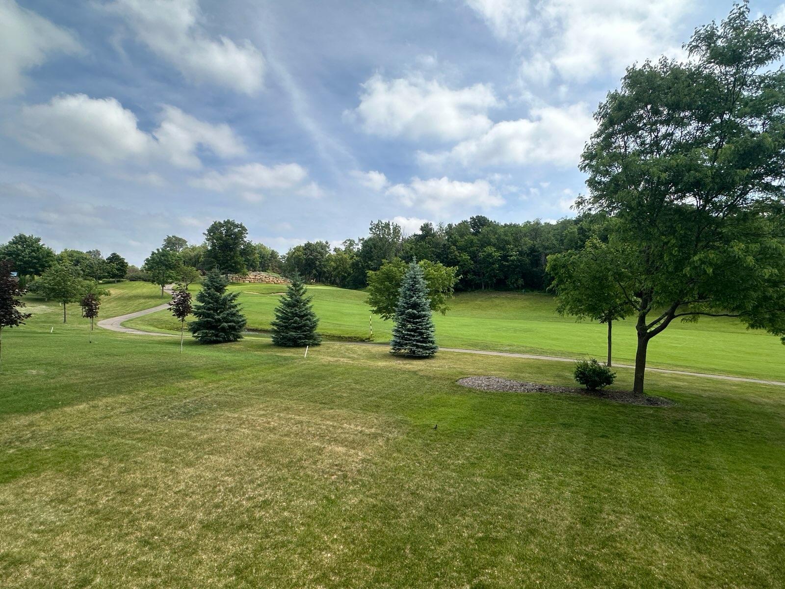 View from kitchen window