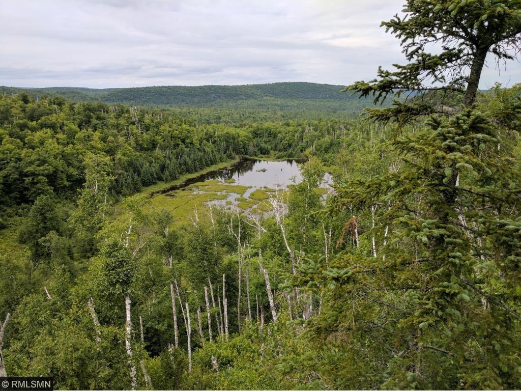 Lot 10 pond.jpg