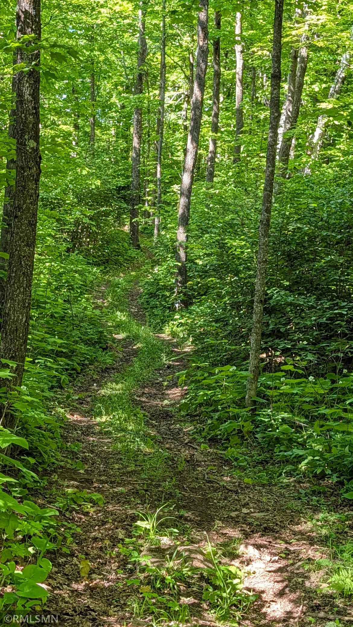 Trail
