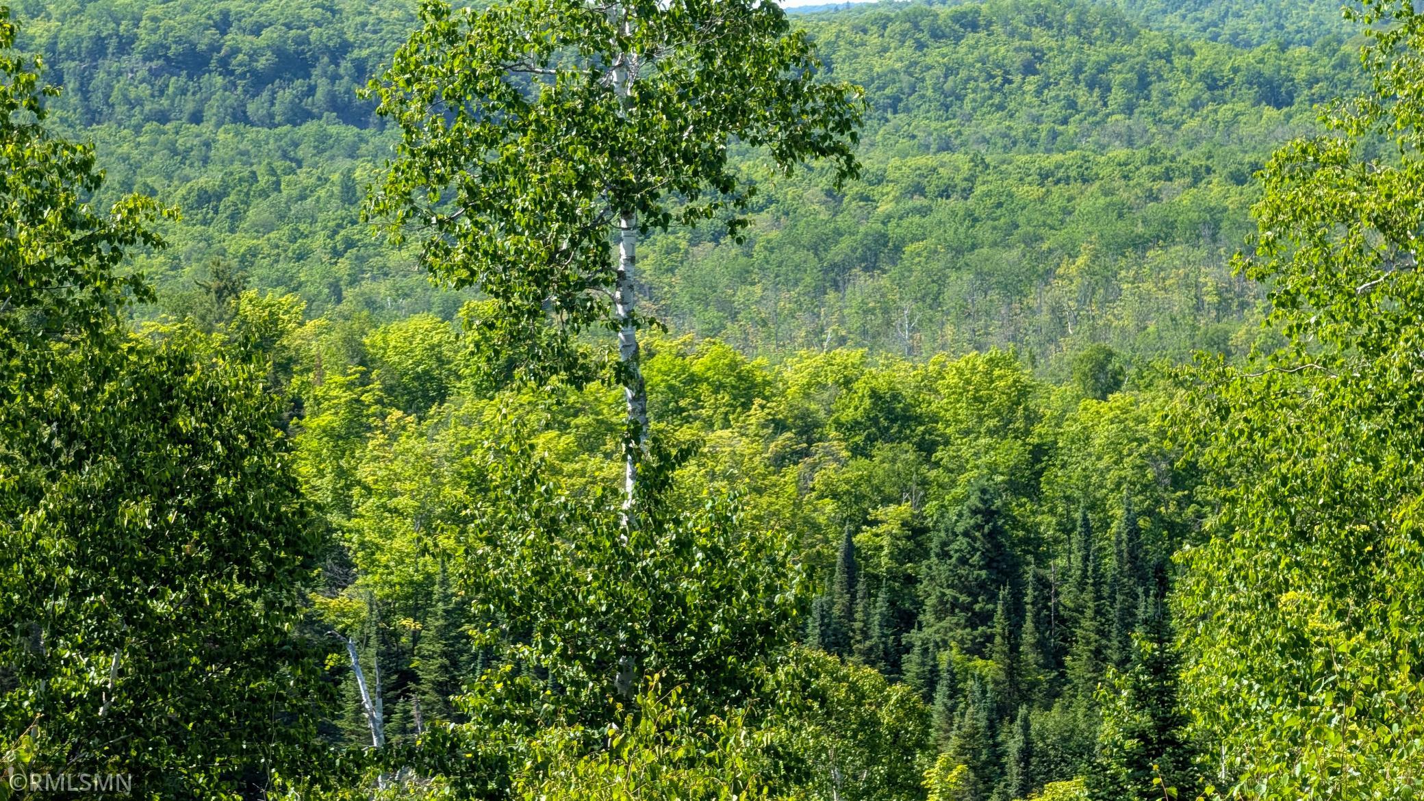 Looking West