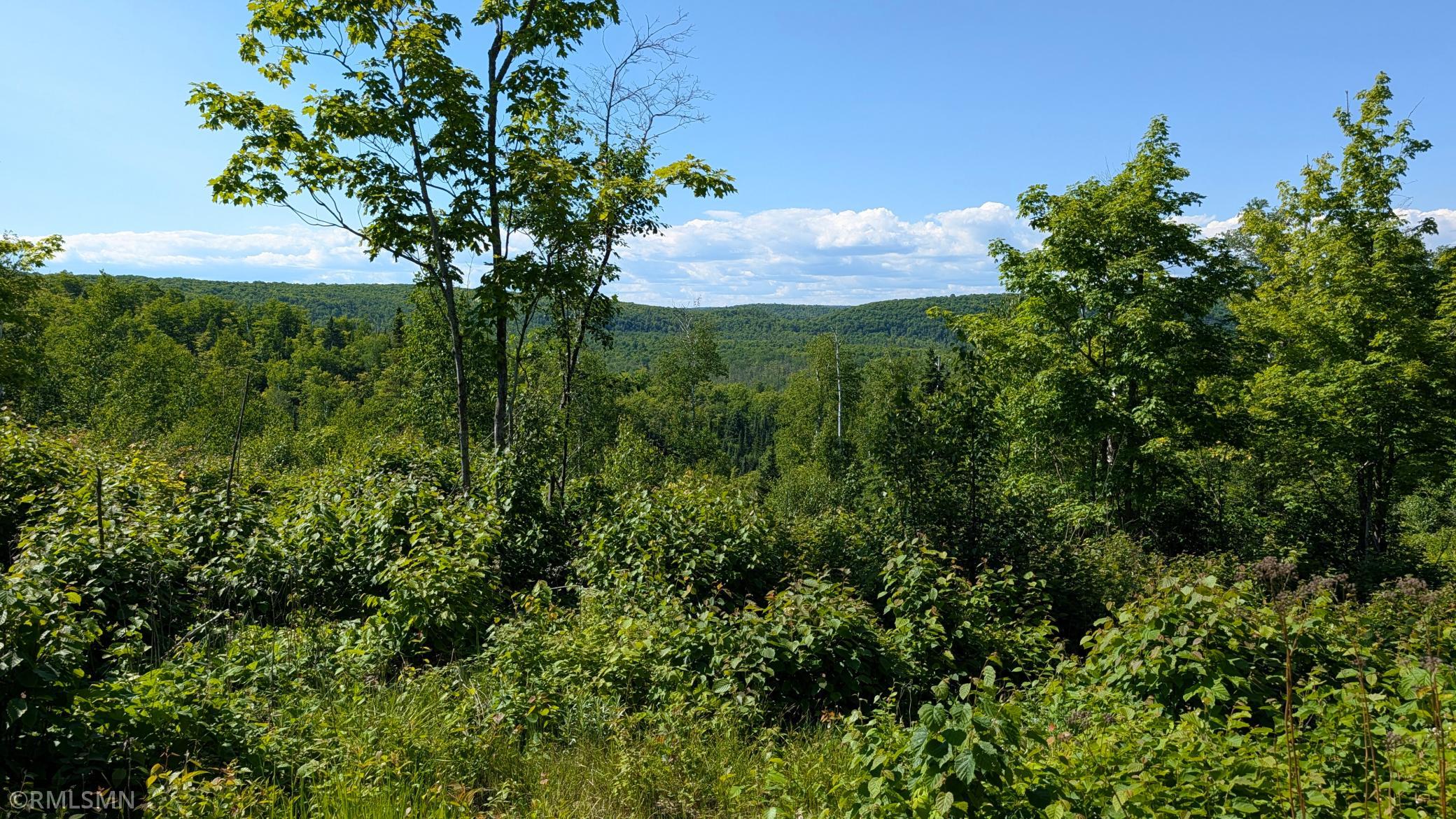 Looking West