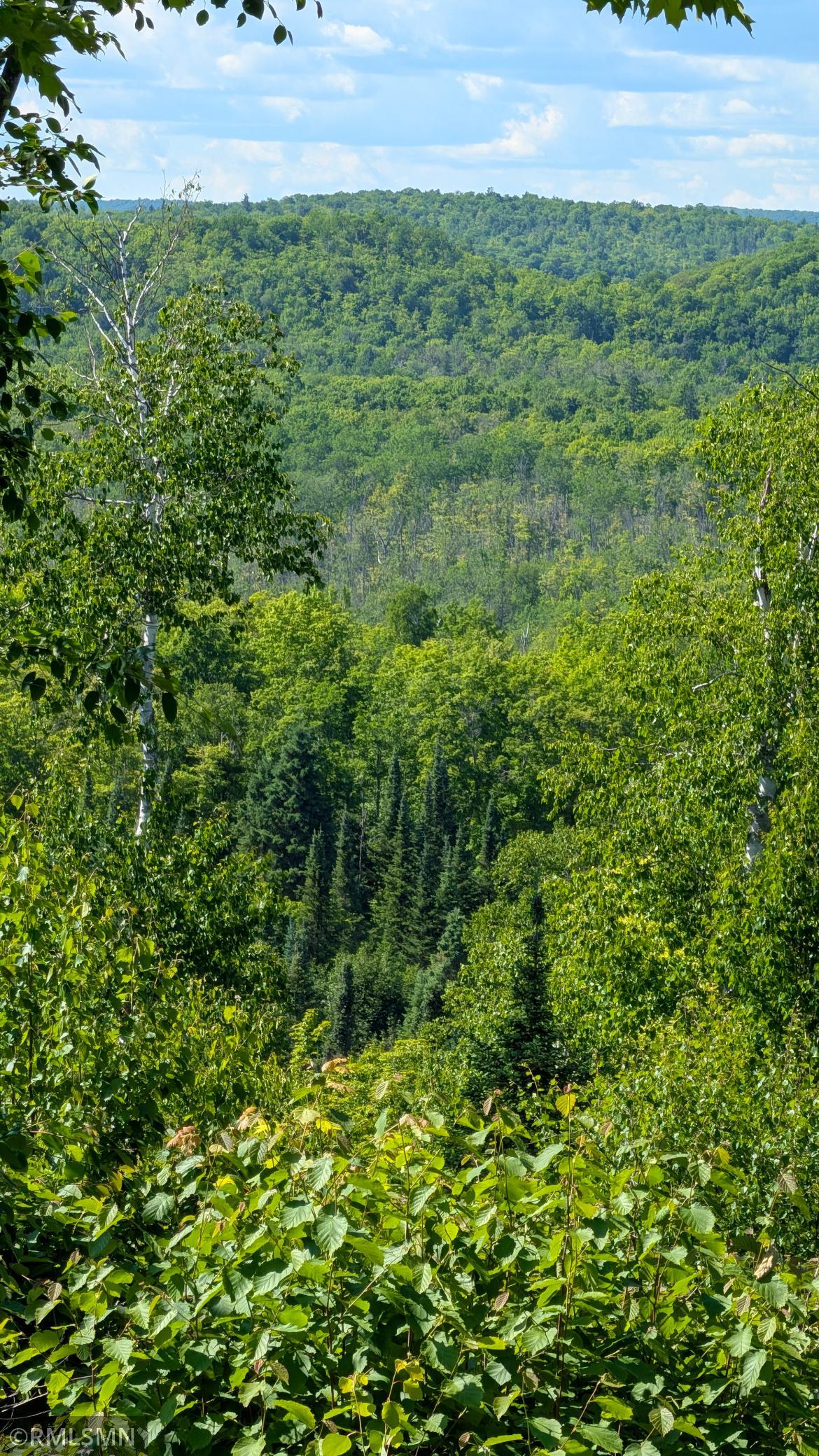 West view