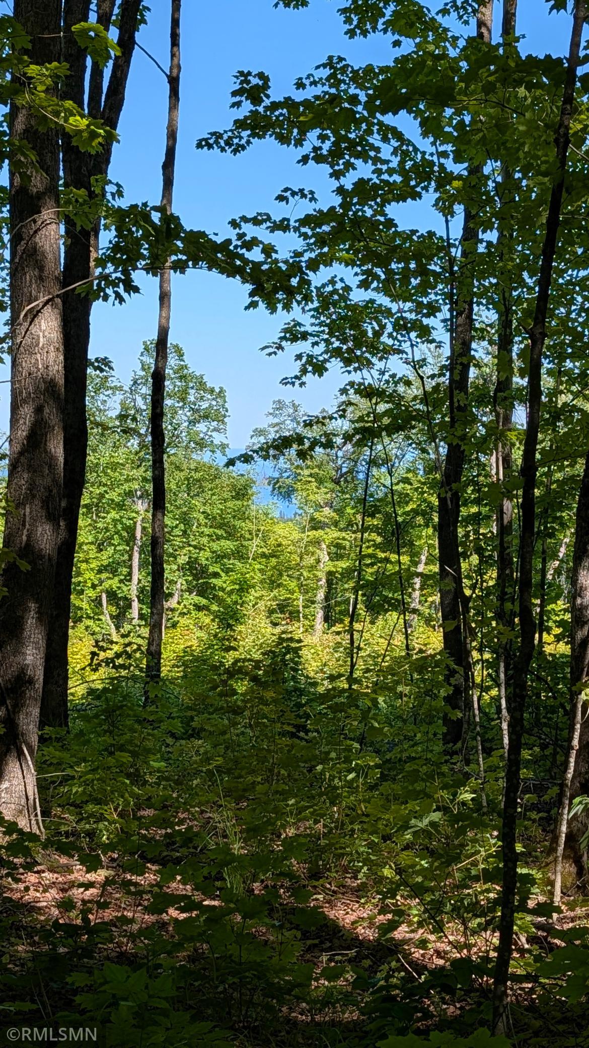 Lake Superior View