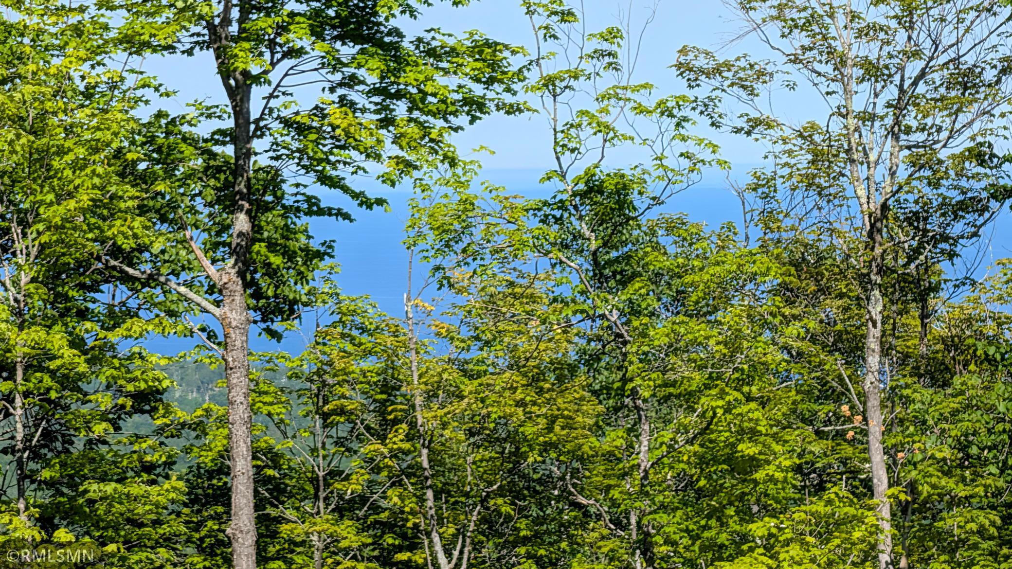 Lake Superior View