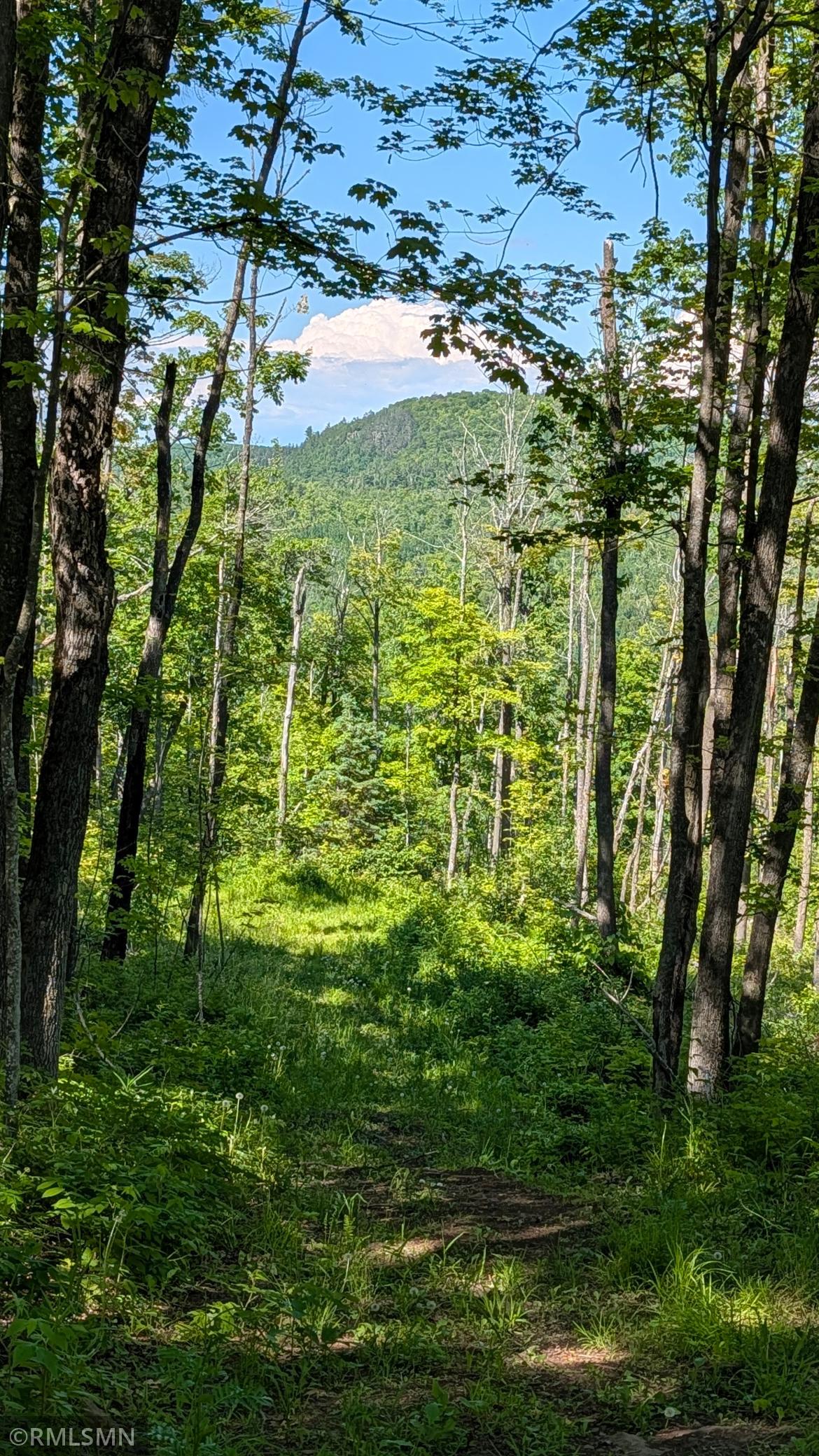 Mount Trudee