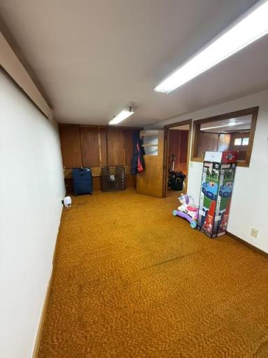 Basement Bonus Room