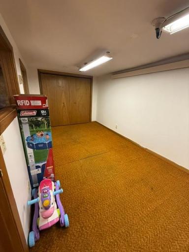 Basement Bonus Room