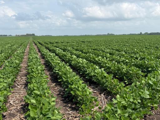 TBD Highway 218, Owatonna, MN 55060