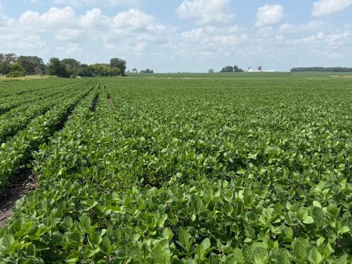 TBD Highway 218, Owatonna, MN 55060