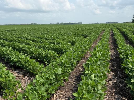 TBD Highway 218, Owatonna, MN 55060
