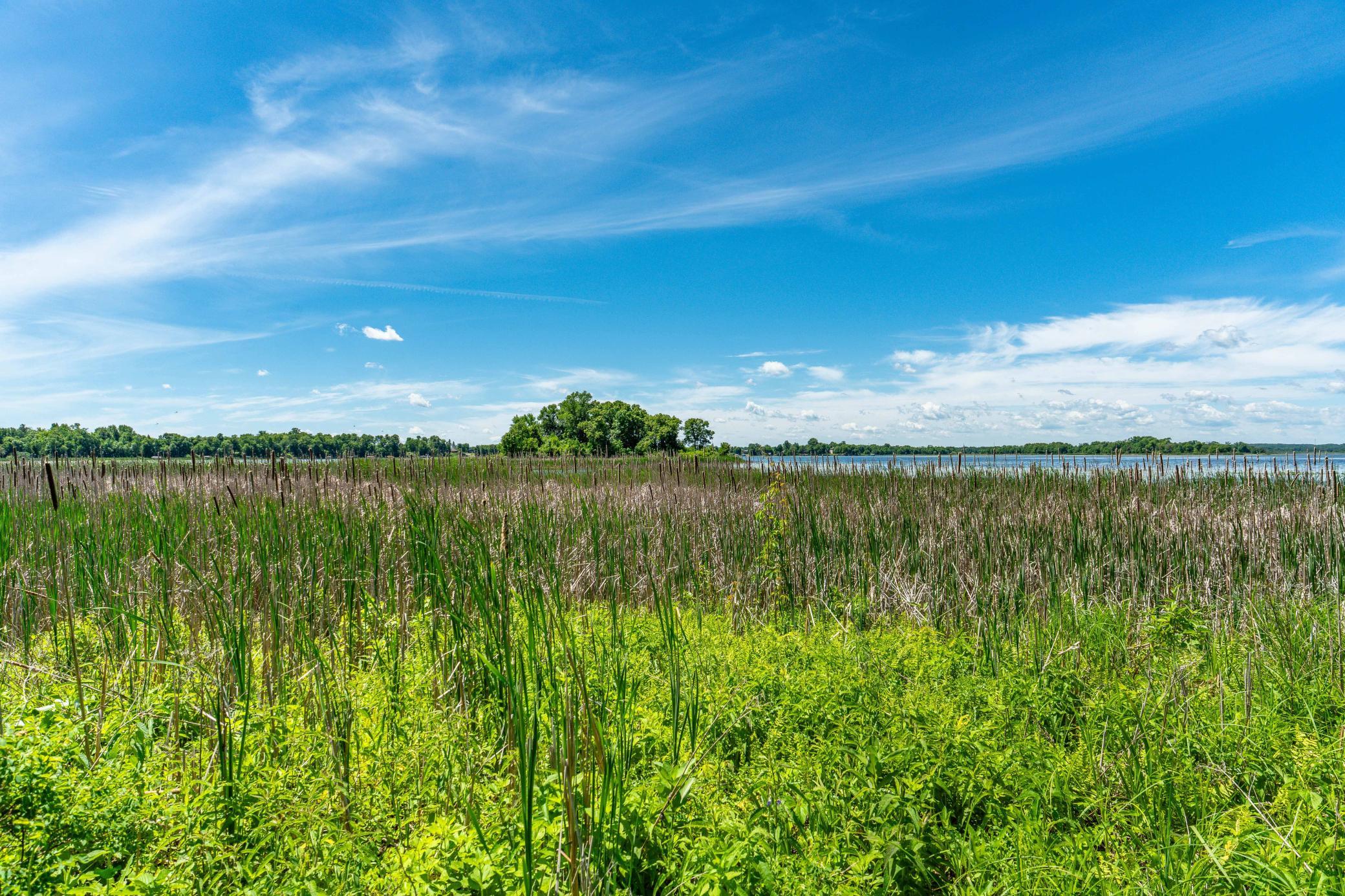 Not a Lake Lot. An Island