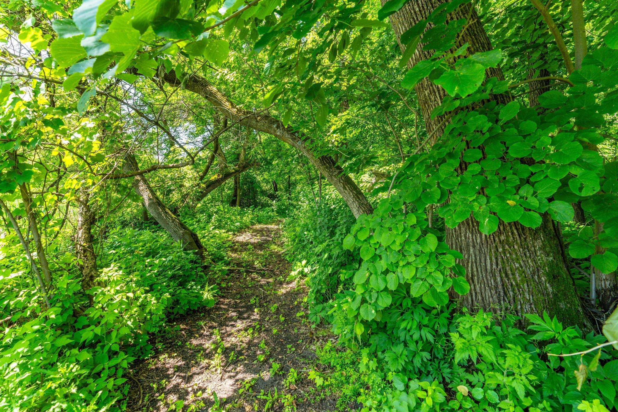Maintained Trails Around the Island