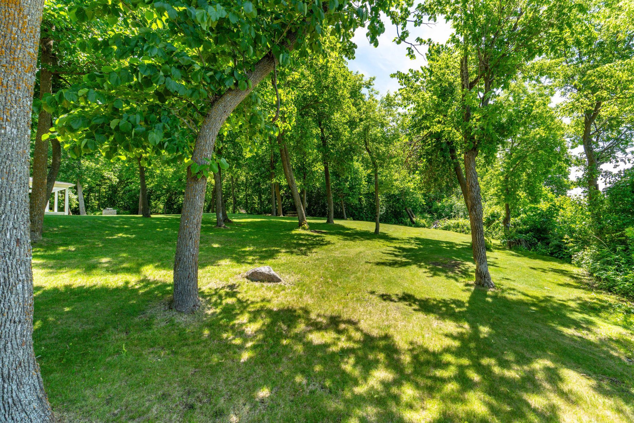Park Like Yard Area