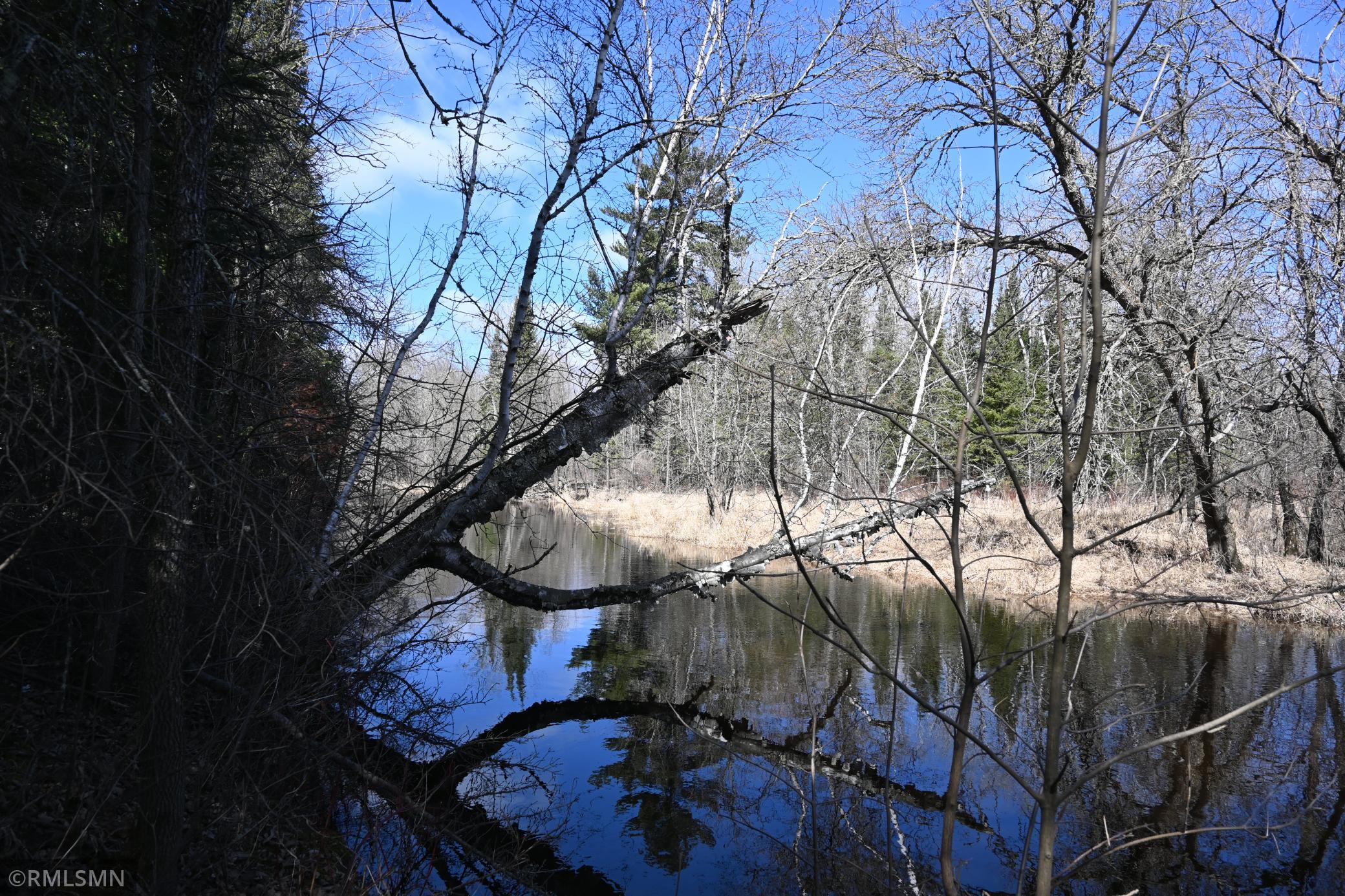 DSC_1081.JPG