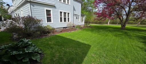 Landscaped side yard