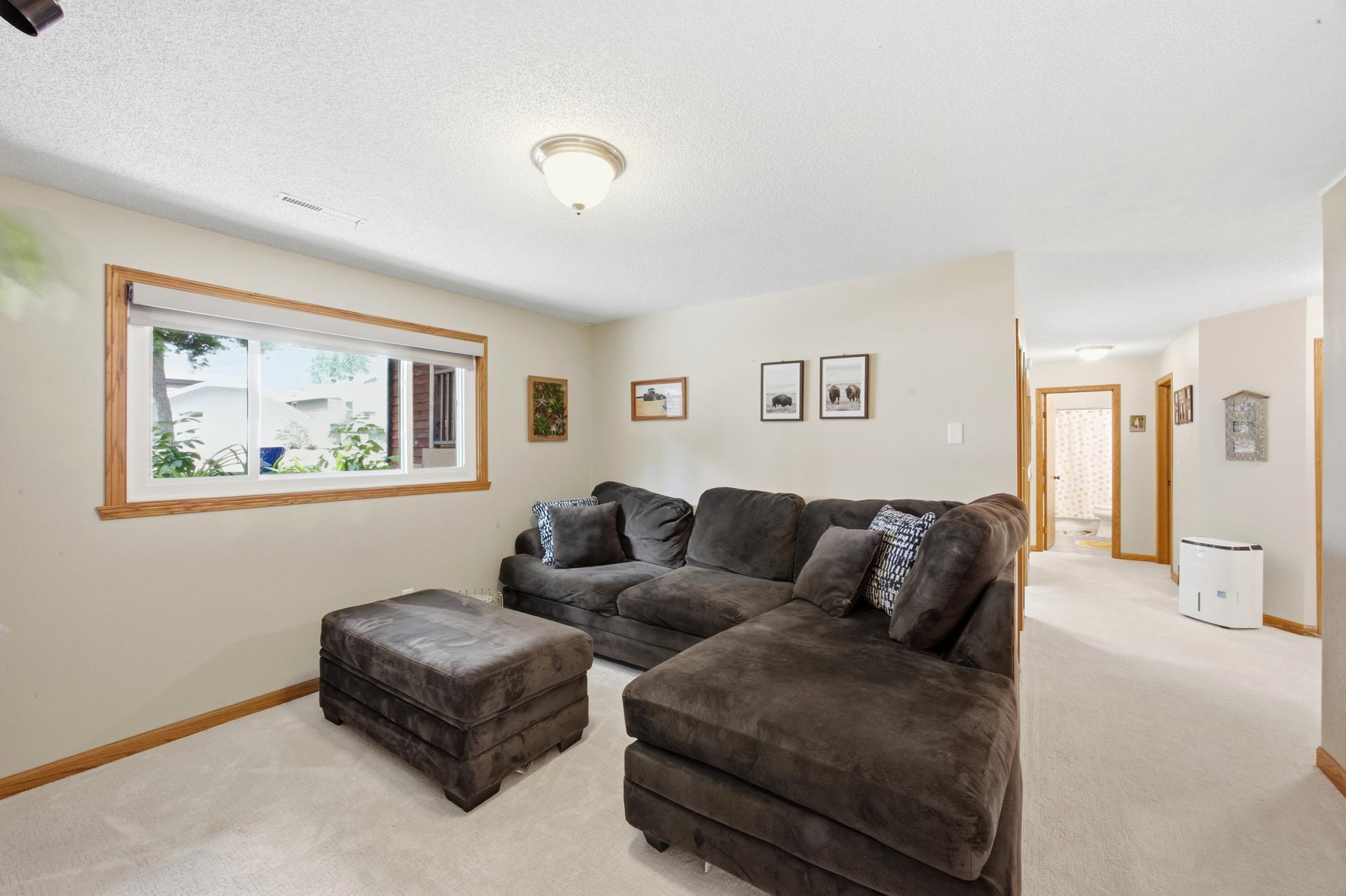 Lower Level Family Room (view 2)