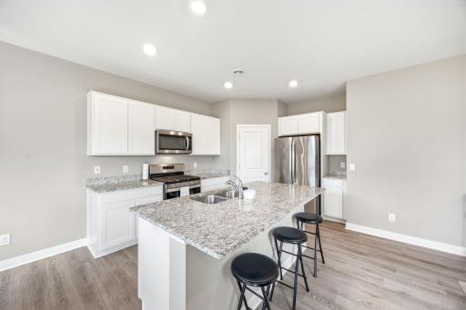 228 Snowdrop Trail, Waconia, MN 55387