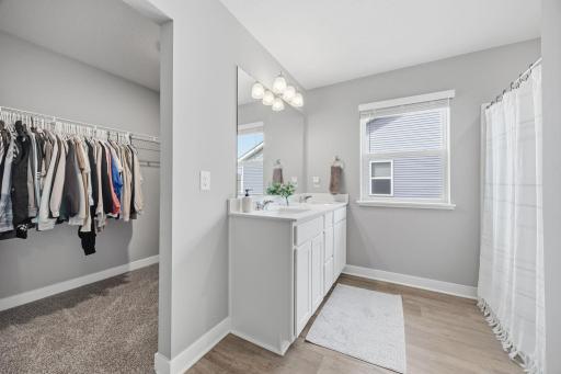 228 Snowdrop Trail, Waconia, MN 55387