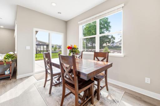 228 Snowdrop Trail, Waconia, MN 55387