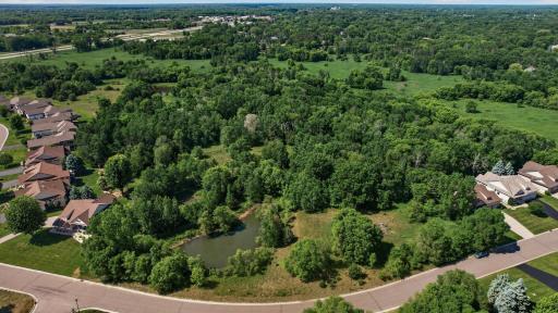 With mature trees, green space, and walking opportunities right outside your door