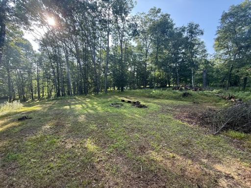TBD CR-109, Merrifield, MN 56465