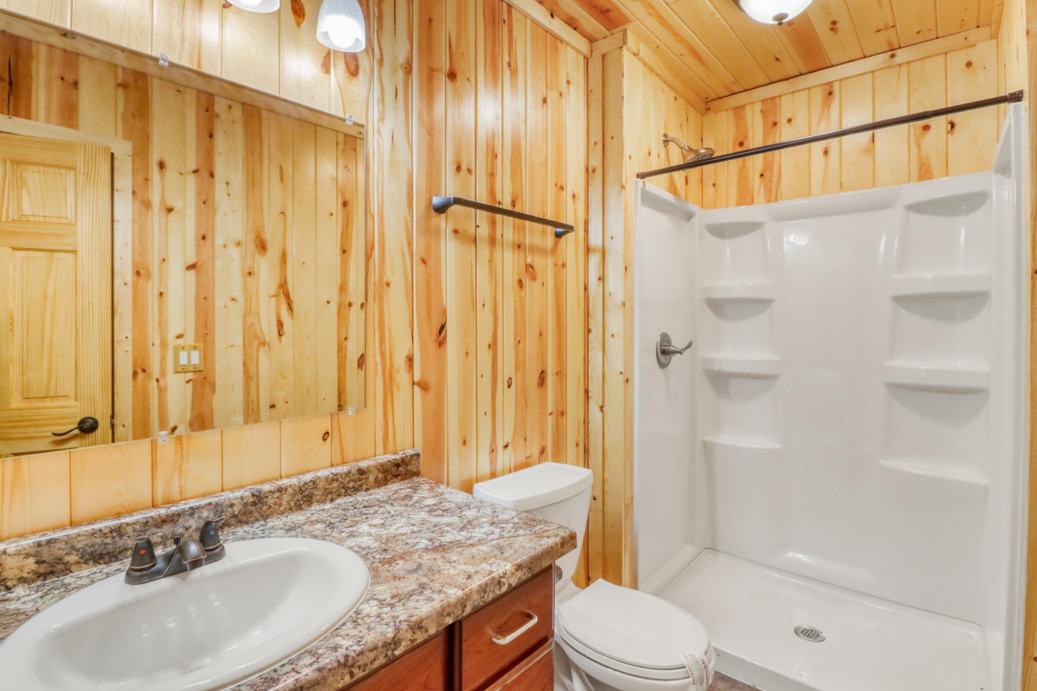 Basement Bathroom1_0.JPG