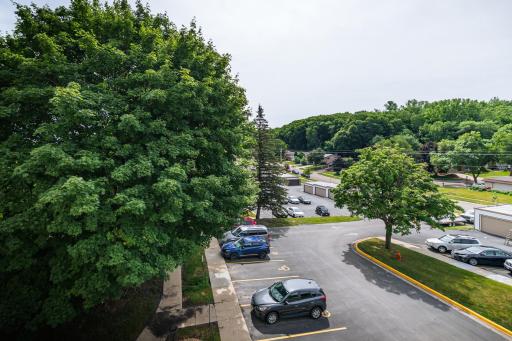 Living/primary bedroom view