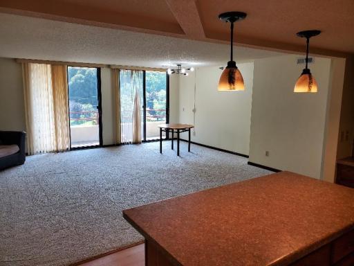 living dining new carpet and light fixtures.jpg