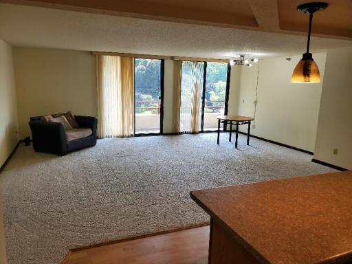 living room new carpet and light fuxtures 2.jpg