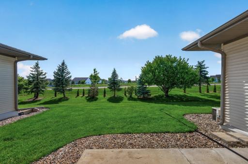 Expansive usable backyard green space with mature trees